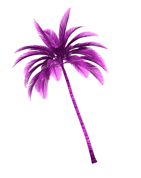 violet palm tree